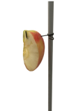 HAGz® Bait Holder